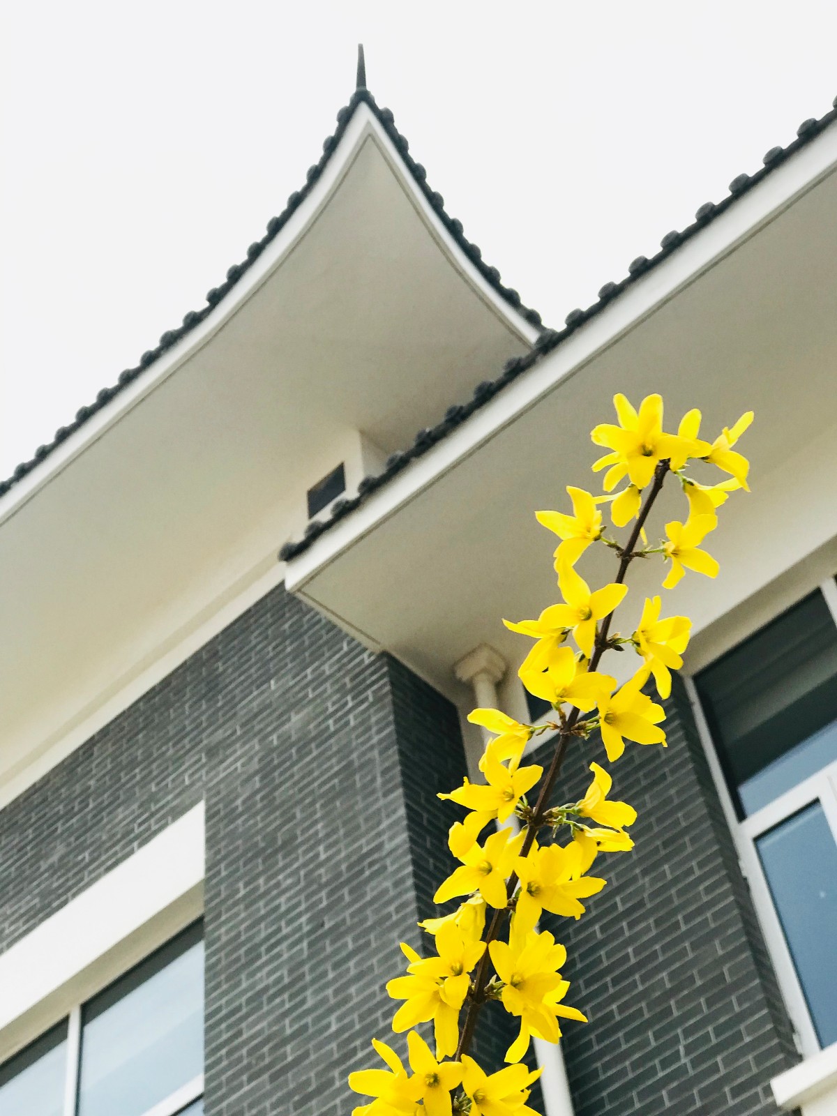 15540812202501.jpg 微信圖片_20190322092622.jpg