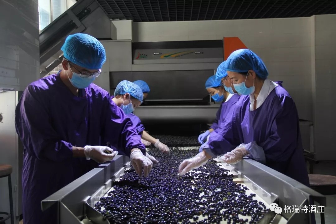 15712798862745.jpg 640.webp.jpg