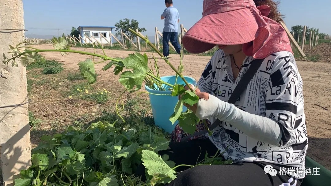 15903104843406.jpg 640.webp (6).jpg