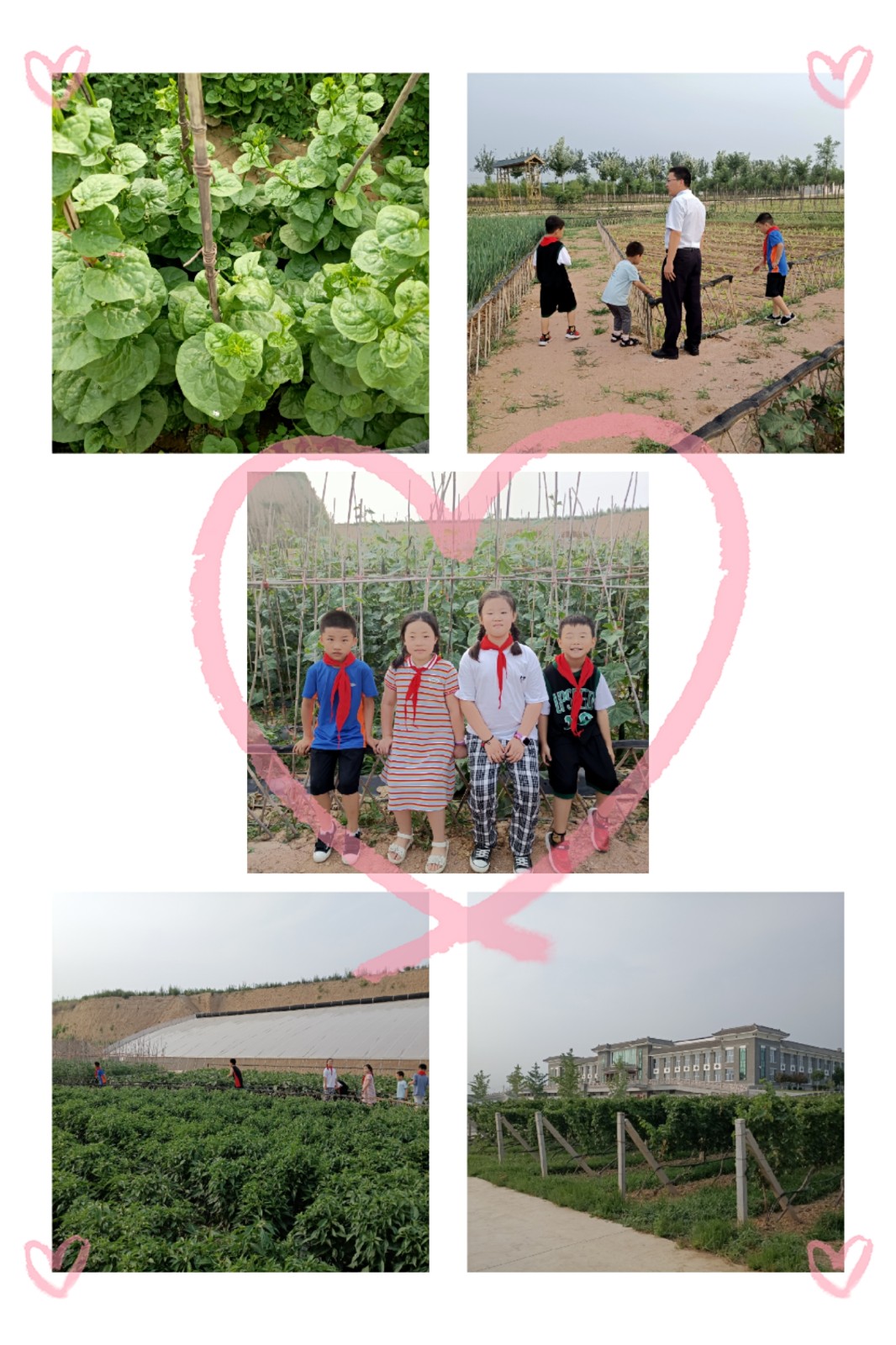 16003318246460.jpg 微信圖片_20200709112202.jpg