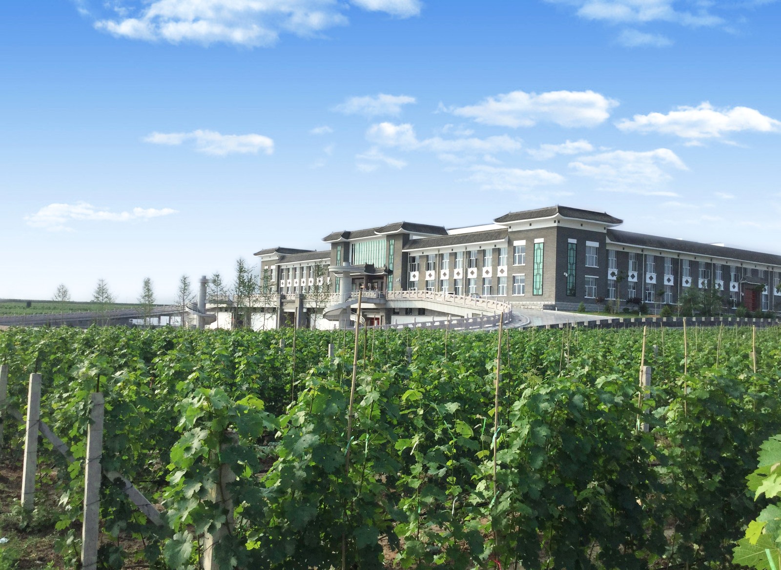 16006590879248.jpg 2.jpg