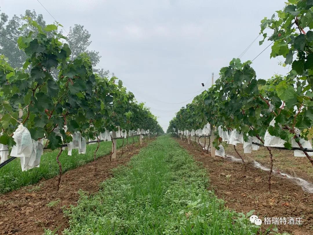 16006598461590.jpg 5.jpg