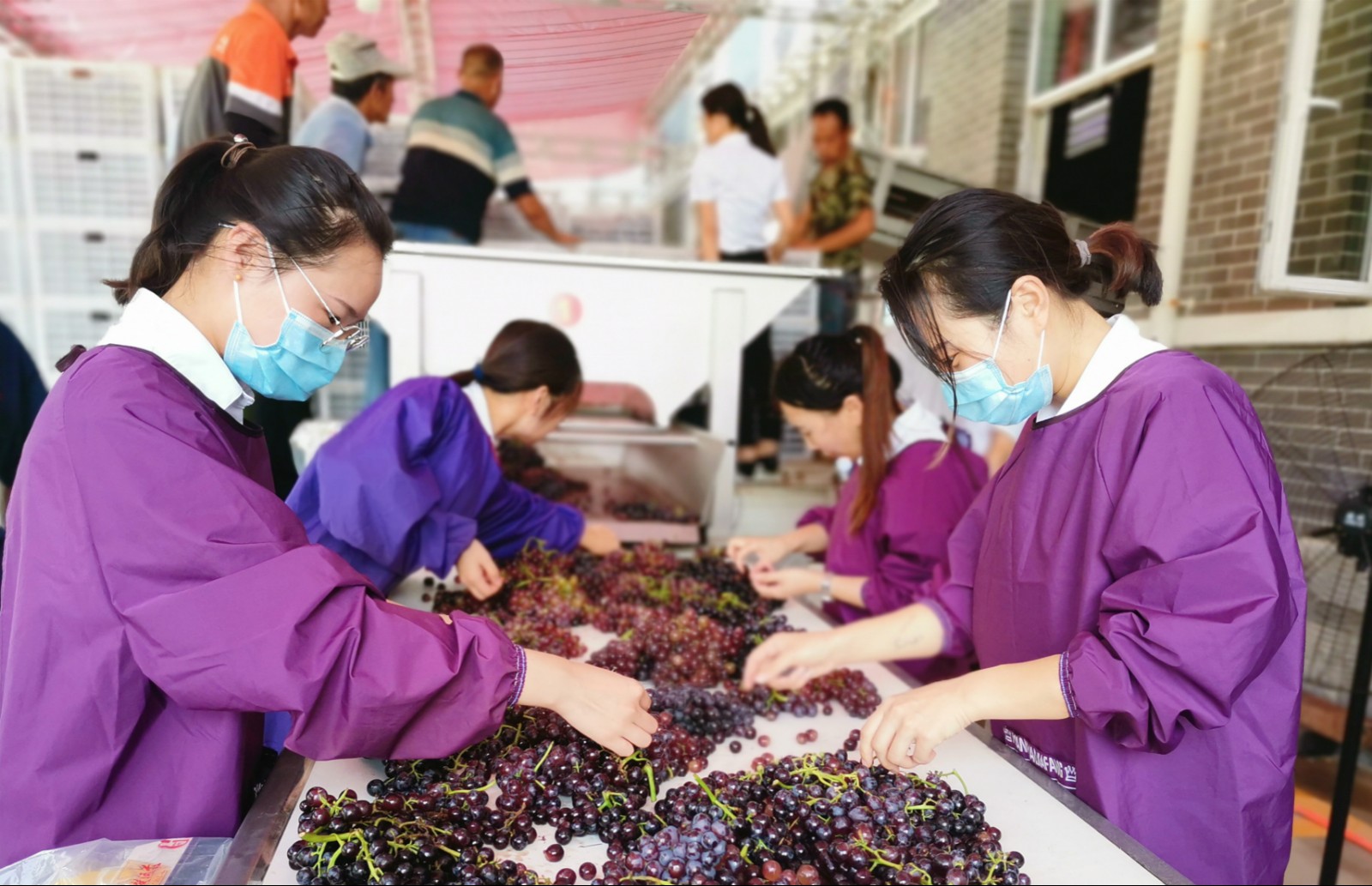 16296794009702.jpg 微信圖片_20210821083838.jpg