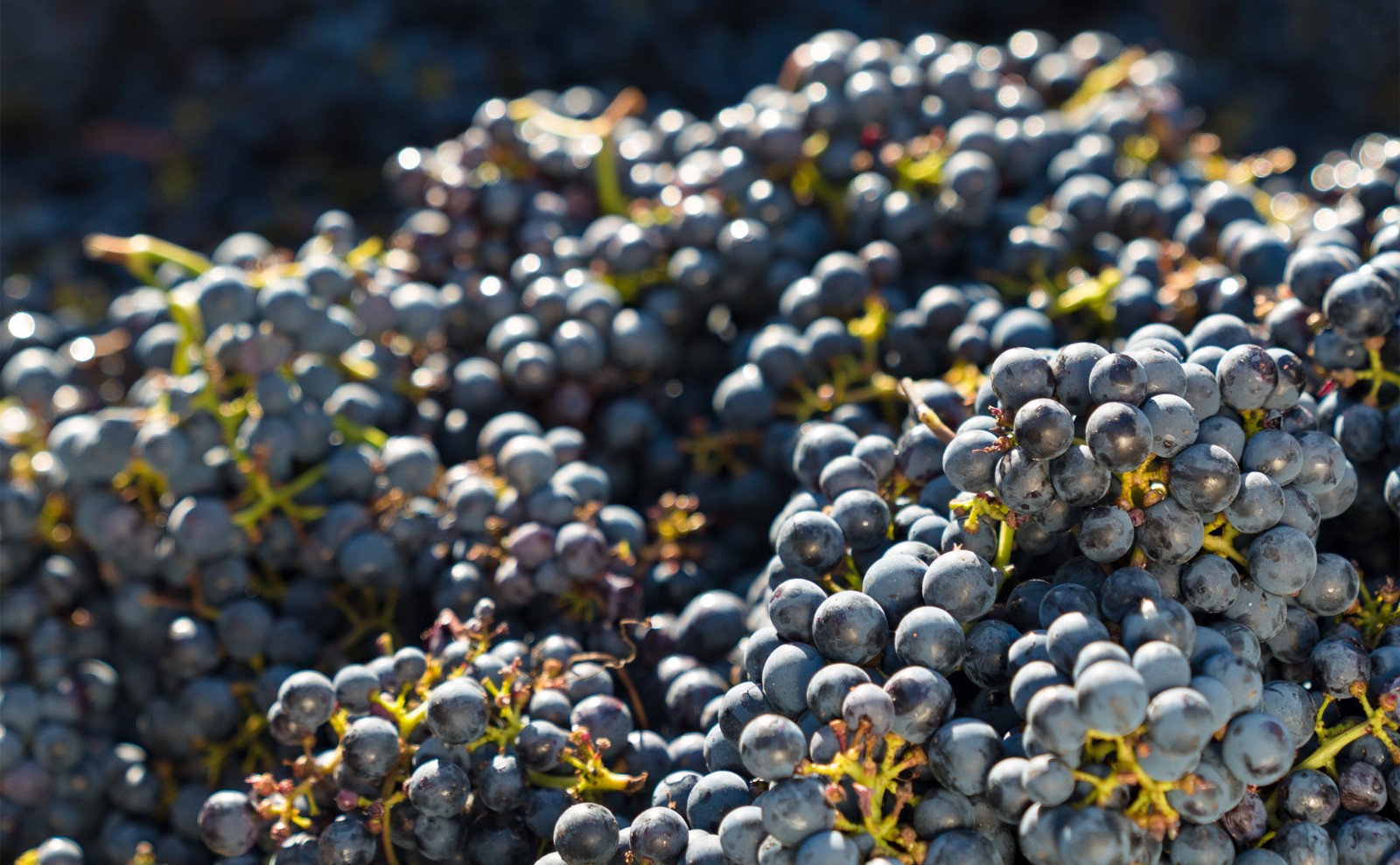 16327047584647.jpg INH_64686_10386_副本.jpg