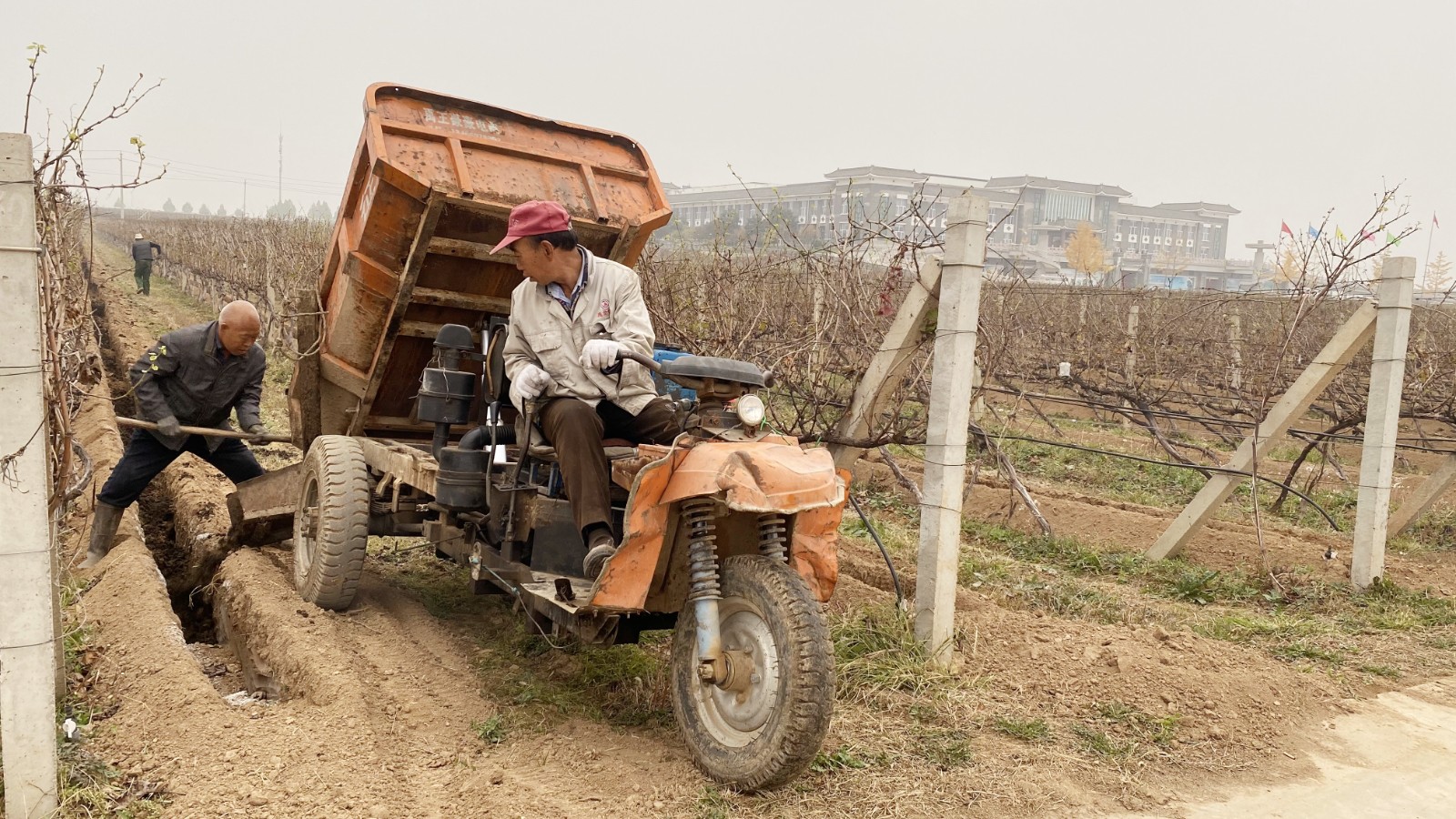 16362467233024.jpg 微信圖片_20211106085003.jpg