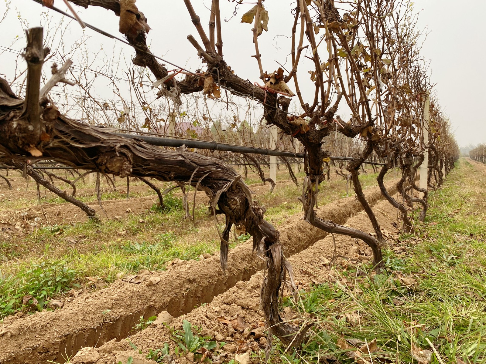 16375496513171.jpg 微信圖片_20211121145128.jpg