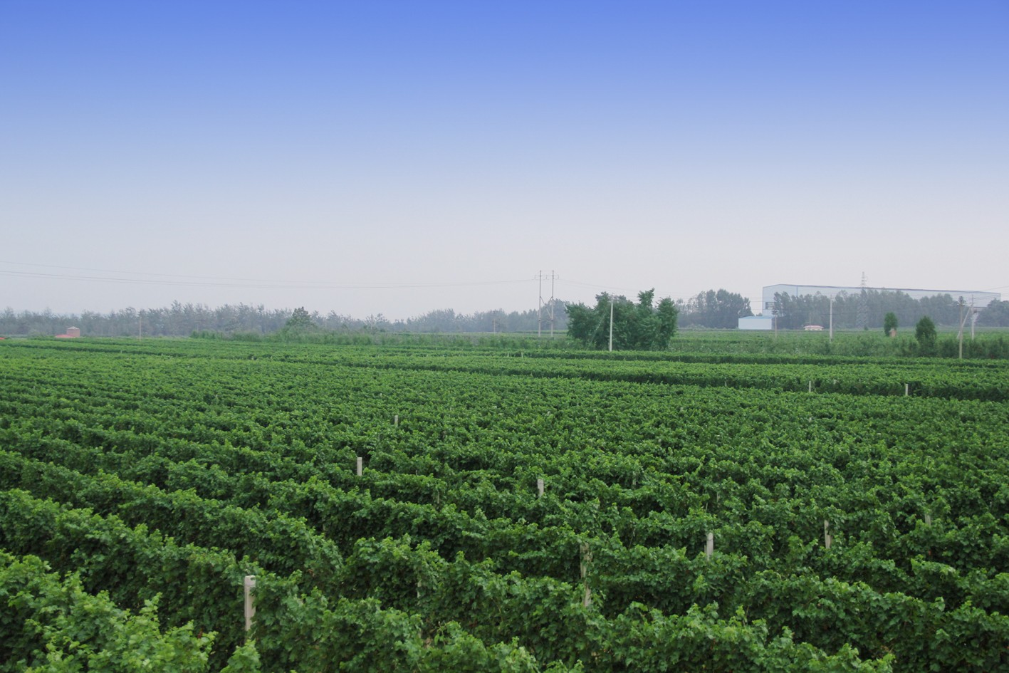 16381708075732.jpg 7.jpg