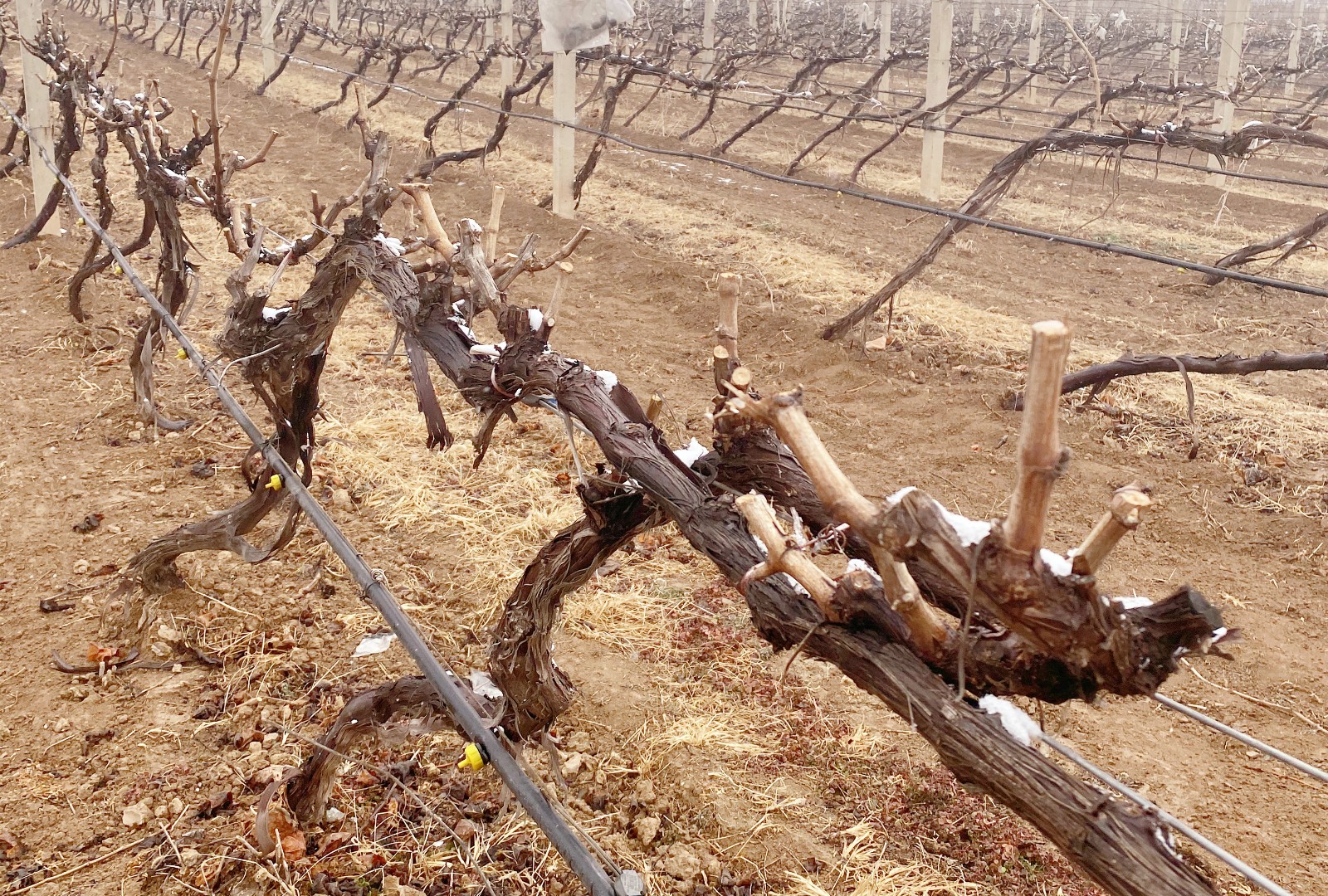 16455807985994.jpg 微信圖片_20220218150126.jpg