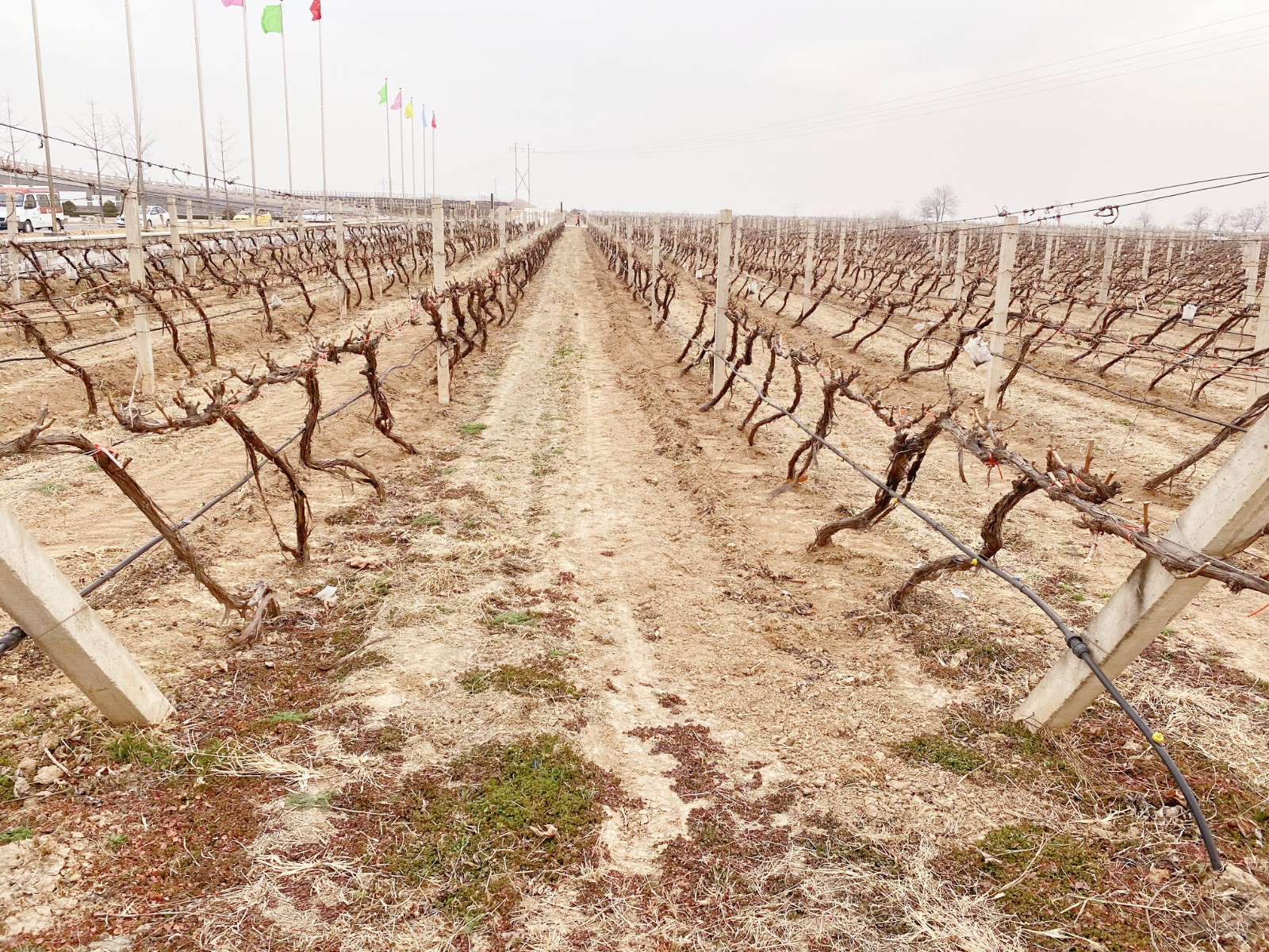 16464604586615.jpg 微信圖片_20220304102008.jpg