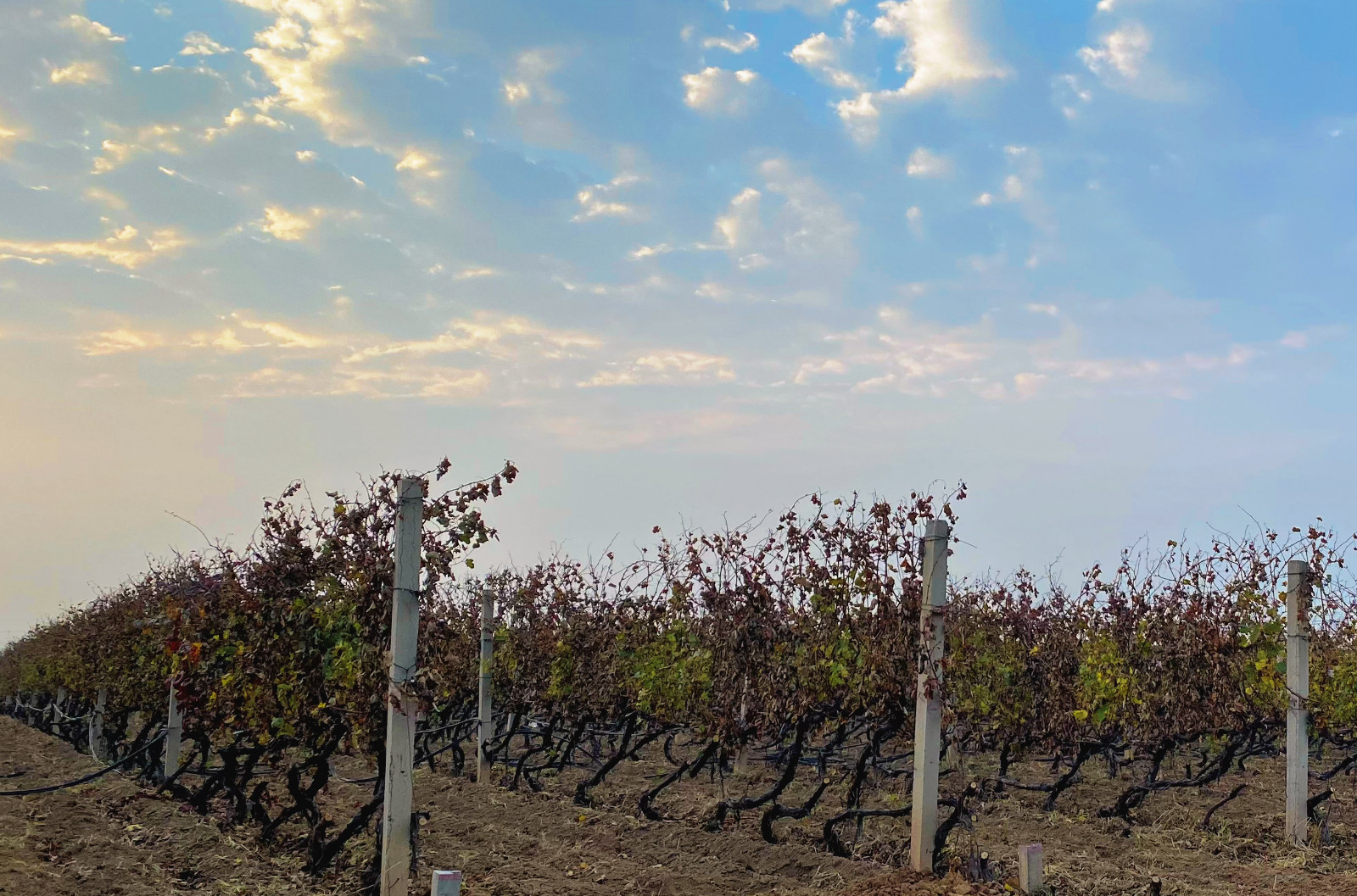 16682183147615.jpg 5ef875dd8d2874eafe4823f0bafcfa2.jpg