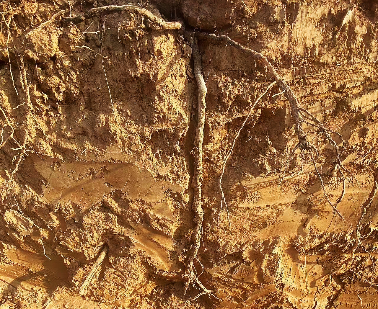 16690977747235.jpg 7de9940892caf003f933973f3dbebfa.jpg