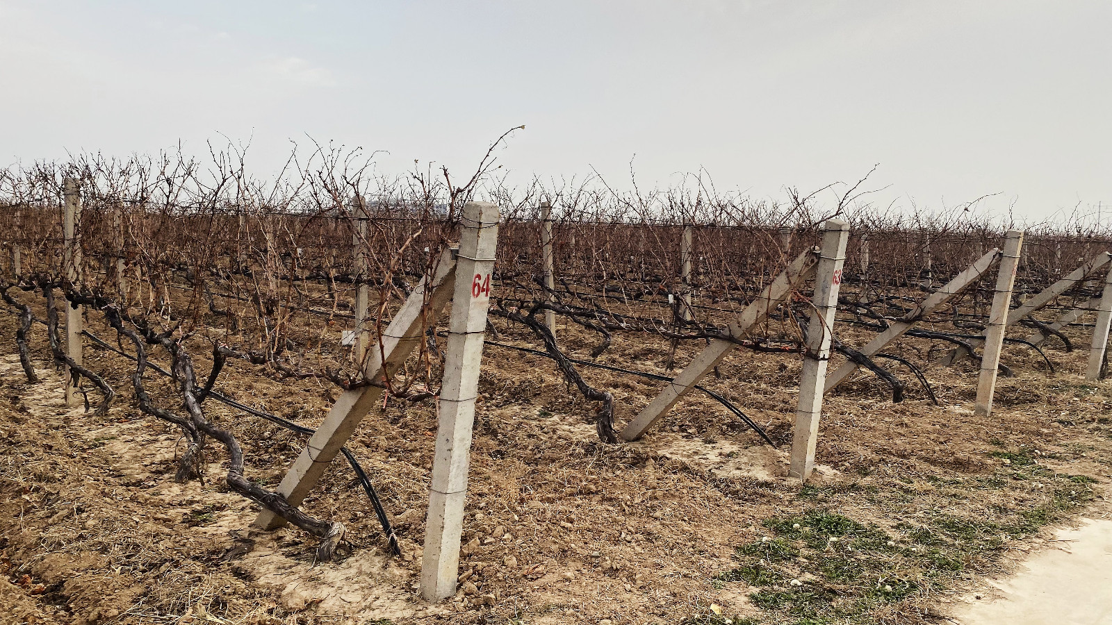 16706372376233.jpg fd3bc277d1bb5f5c3120cac1ebd036a.jpg