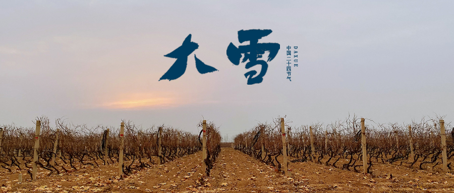 大雪 ▎世界留白，天地靜美