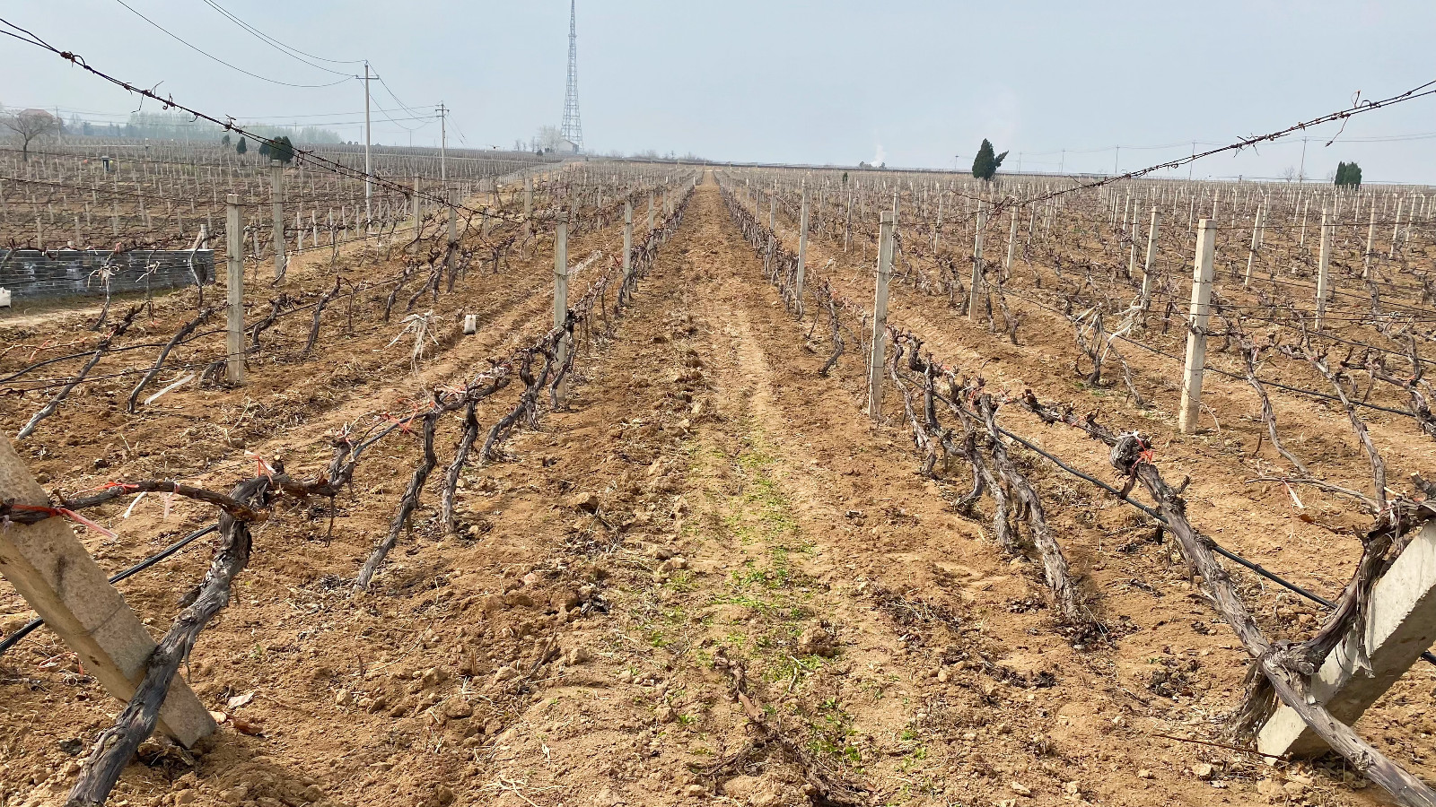 16793613099649.jpg 微信圖片_20230320152026.jpg