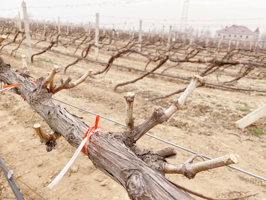 16821237892187.jpg 640.jpg