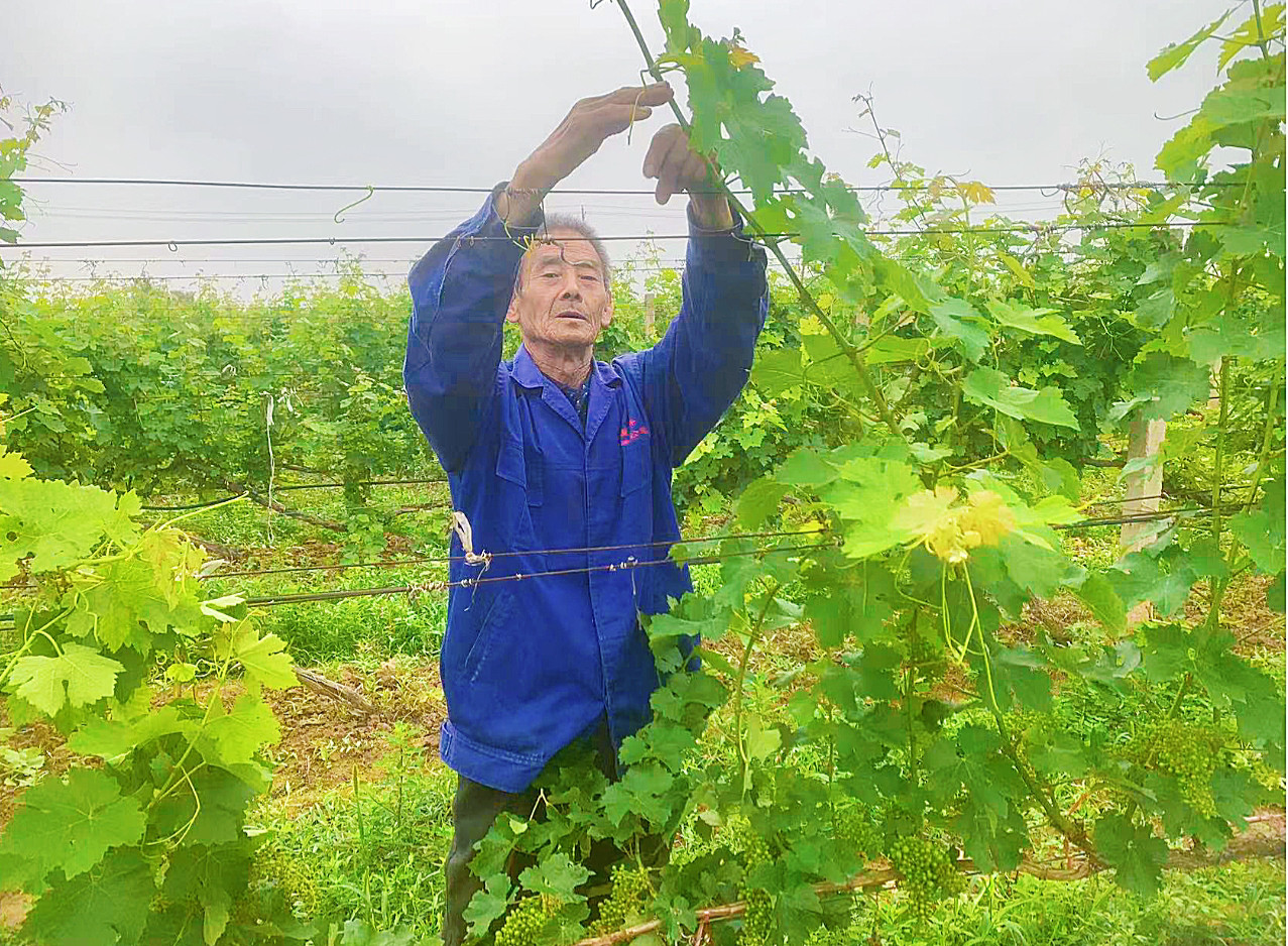 16866196891394.jpg 微信圖片_20230605094821.jpg