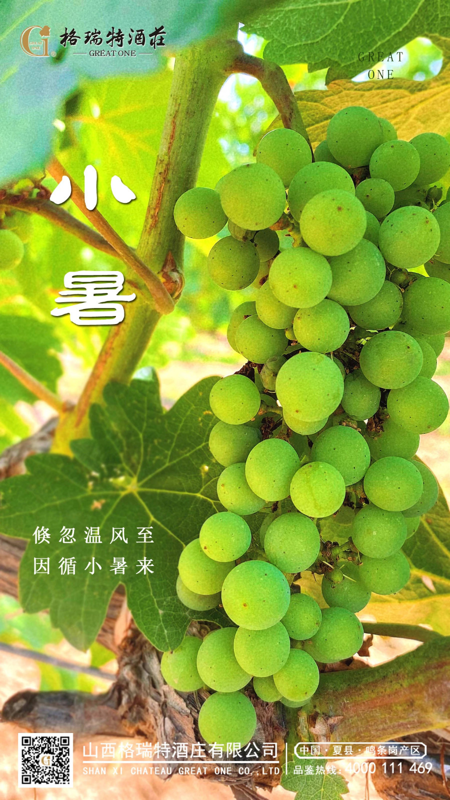 16905372047959.jpg 微信圖片_20230728173927.jpg