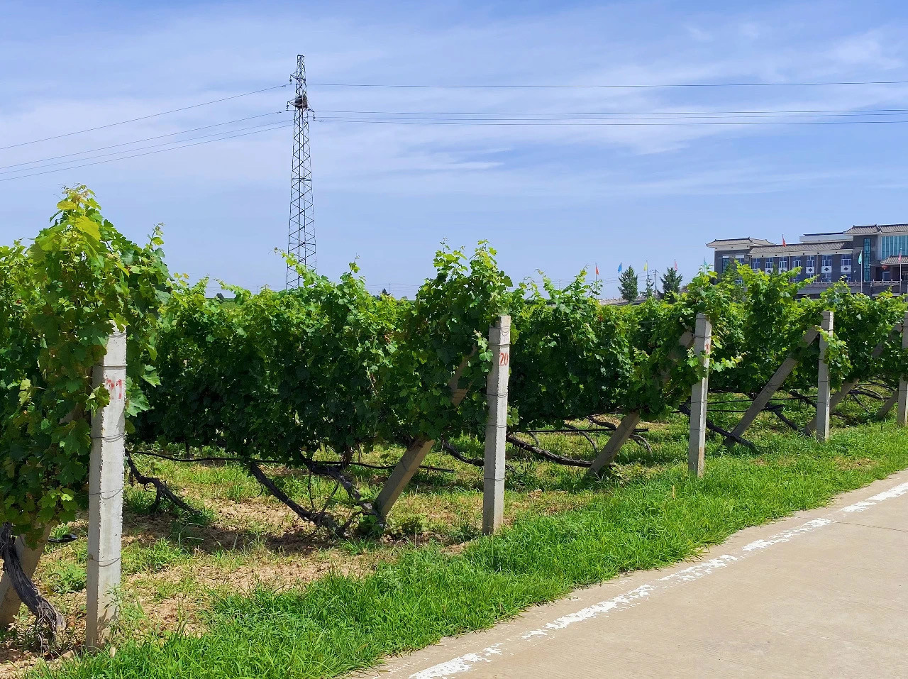 16905372423083.jpg 微信圖片_20230728173940.jpg