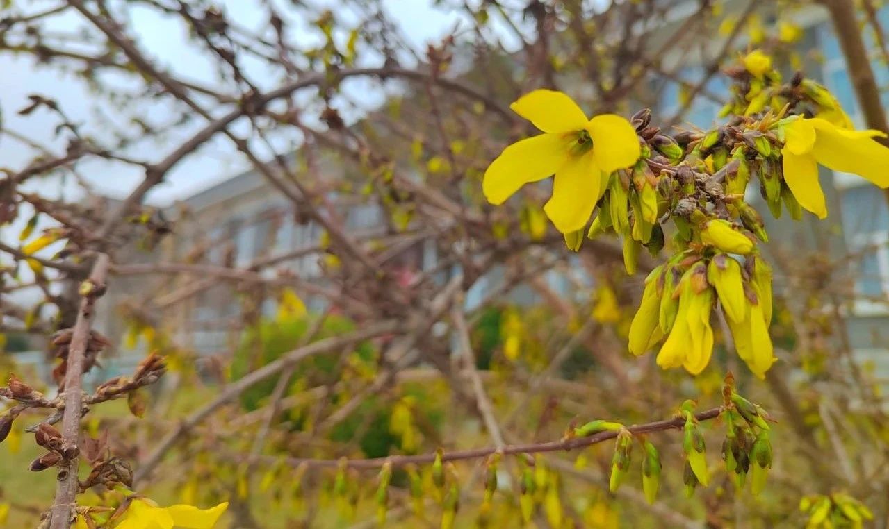 17114242546761.jpg 3f44b76c2f92e6ea040883743bdba9a1.jpg