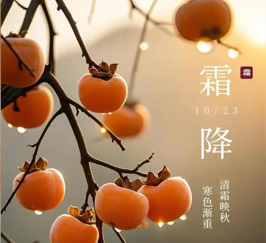 霜降||人間至此秋色盡，草木搖落露為霜