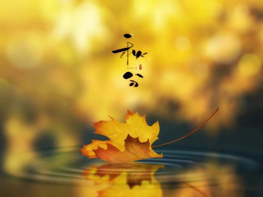 秋分，在格瑞特莊園與時(shí)光對(duì)飲